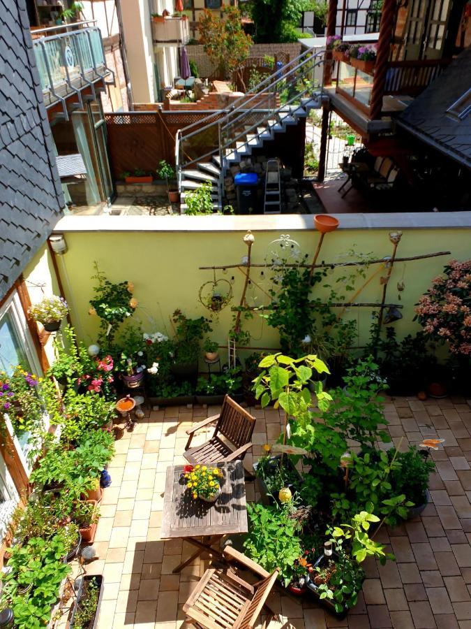 Ferienwohnung Goldstr.7 奎德林堡 外观 照片